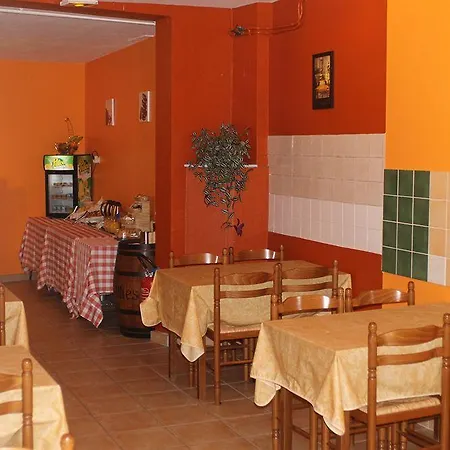 Des Alliés
